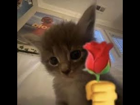 3 IDEAS TO DO ON VALENTINES DAY : - )