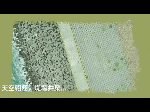 西貢東壩破邊洲Mini2炸機感悟篇