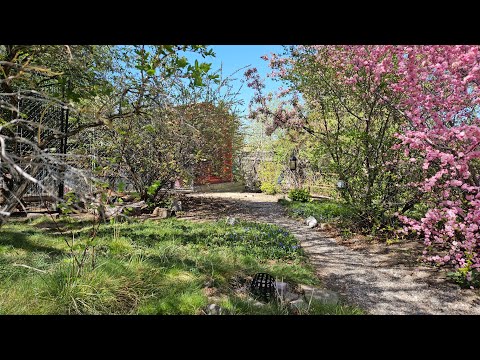 Montana Garden: May 2, 2025