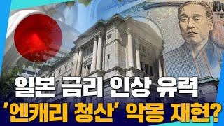日, 금리 인상 유력…'엔캐리 청산' 악몽 재현?