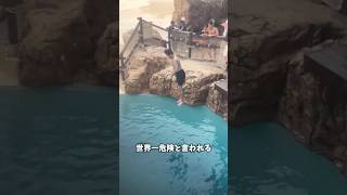 世界一危険なプール？🤔