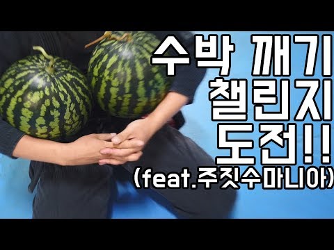 수박 깨기 챌린지 도전 (feat.주짓수마니아) Watermelon Crush Challenge | 더스트빈TV