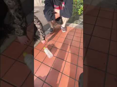 【本当に可哀想】ペットボトルの悲劇