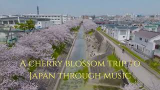 음악으로 떠나는 일본여행 A cherry blossom trip to Japan through music