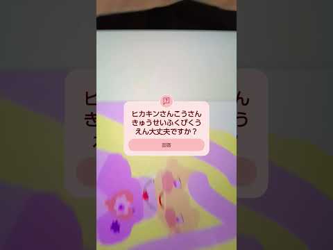 2025年1月26日