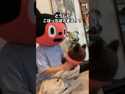 ぼっちぼろまる、久々のワンマンライブ決定しました！！！！