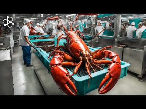 Top 20 Modern Food Factory Processing Machines That are at Another Level ► 016