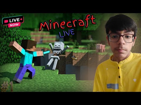 Minecraft Live And Chill!