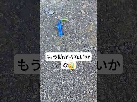 この子はもう助からない？
