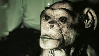 Man or Ape? The Genetic Mystery of Oliver | Our World