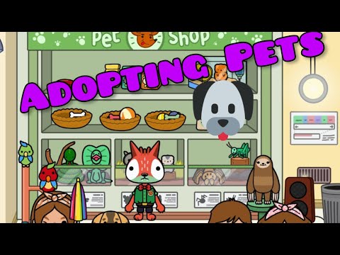 Adopting pets (Sage and Soreya were so happy, mostly Soreya)
