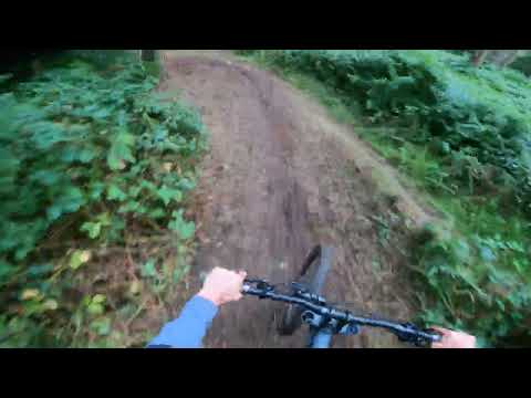 BADBURY CLUMPS BIG HIP LINE