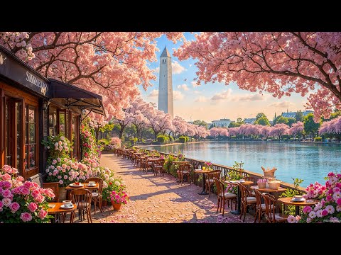 Cherry Blossom Café Jazz ☕ Soft Instrumental Jazz Music & Soothing Bossa Nova for a Spring Morning