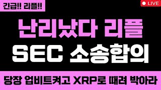 리플 진짜 미쳤습니다 난리났다 리플 SEC 소송 합의 대박입니다 당장 업비트켜고 XRP로 때려 박아라 XRP 무조건 올라요 #엑스알피 #리플코인 #엑스알피전망