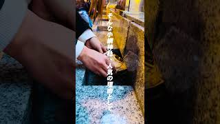 【都内最強】小網神社　なんとそこは・・・#パワースポット #vacation #神社