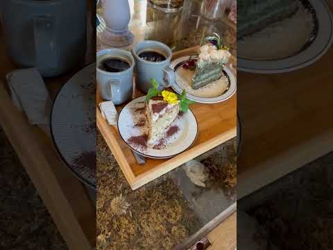 韓国で必ず行くおすすめカフェ☕️🇰🇷VER'S Garden🥰💐🌿🍰#韓国カフェ#韓国旅行#延南洞カフェ#弘大カフェ#ドライフラワー#연남동카페 #꽃