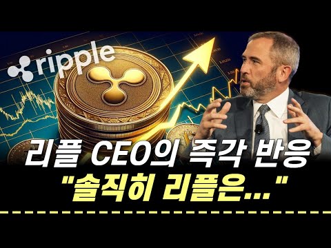 [리플] 채굴업자의 모함에 극대노한 브래드갈링하우스