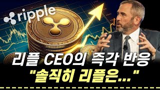 [리플] 채굴업자의 모함에 극대노한 브래드갈링하우스