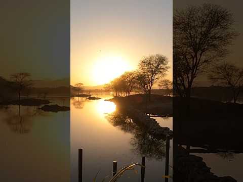 #music #lakahwalilake #udaipur #india #sunset #travel #nature #lake