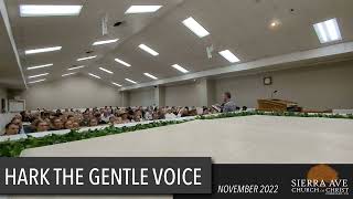 Hark The Gentle Voice (arranged by Jeremy Scott) - Acappella Congregational Singing