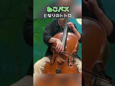 となりのトトロ『ねこバス』を弾いてみた ｜ My Neighbor Totoro - Ghibli Cello cover -  #shorts