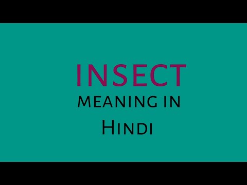 insect meaning in hindi || insect ka matalab kya hota hai