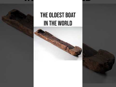 The Oldest Boat in the World #archeology #prehistoric #boat