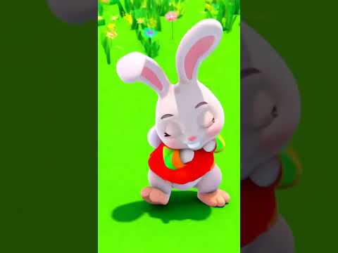 The Cutest Bunny Hop Dance That Will Make You SMILE!