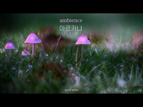 ASMR 신비로운 정령의 숲 아르카나 산책 • 메이플스토리 아르카나 asmr I MapleStory asmr