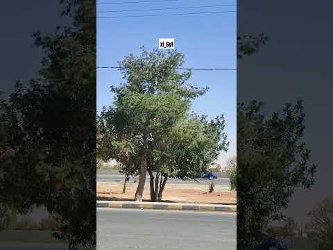 تلاوة عذبة تبث السكينة في القلوب 📖