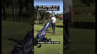 383. 골프, 자동으로 따라오는 골프카트?! 비싸긴한데 신기하긴 해 🤭#골프카트