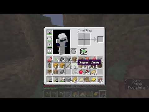 I play Minecraft for a bit.