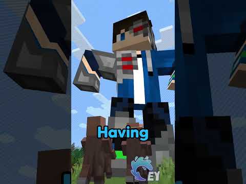 Minecraft, But My Hearts Are the Border…