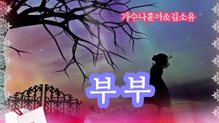 #가왕. 나훈아&ㅇㅇㅇ☆부부 (가사첨부)