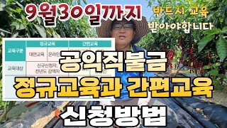 공익직불금 정규교육과 간편교육 시청방법