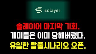 솔레이어 이미 개미들은 당했다, 유일한 탈출 시나리오 #솔레이어 #솔레이어전망 #솔레이어분석