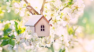3시간 포근한 봄맞이 아침음악 🎵 힐링음악, 스트레스해소음악, 명상음악, 요가 (Spring)