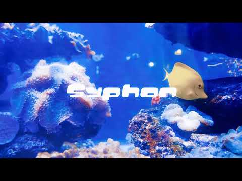 Matt Prasty - Syphon (Official Audio)