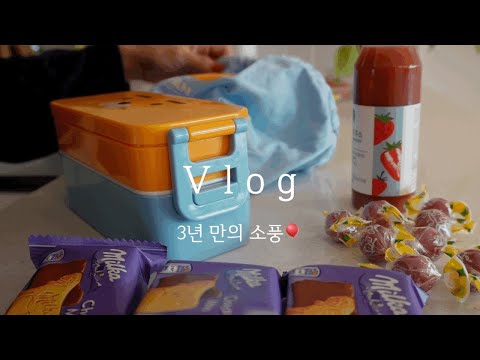 [초등맘 vlog] 쉽지 않은 소풍 도시락🍱🫠 (쫀득한 우엉조림, 햄치즈롤샌드위치) | 군문화축제 | 우리집 체육소녀👧🏻