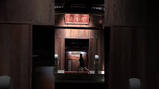 这要是你多好 #高级感 #东方美学 #中国风 #郭泽儒 #武术