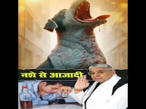 संत रामपाल जी महाराज के तत्वज्ञान से शराब व जुए की लत से अब मिलेगी आज़ादी। #shorts