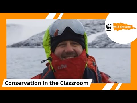 Awesome Antarctica