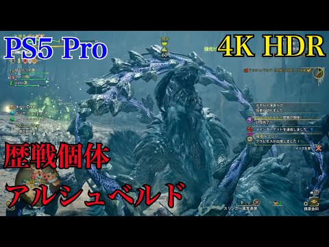 [PS5 Pro] モンスターハンターワイルズ 歴戦のアルシュベルド
