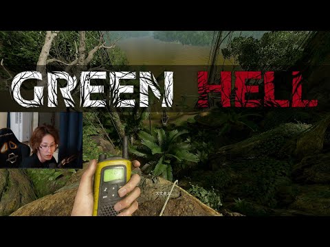 2019年11月14日　突然始まるアマゾンでの厳しいサバイバル生活　Part.1　【Green Hell／アーカイブ】　※未クリア