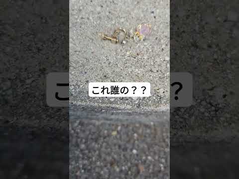 これ誰の？