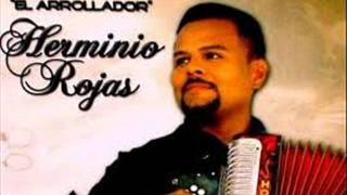 HERMINIO ROJAS - SE OLVIDO DE MI (en vivo)