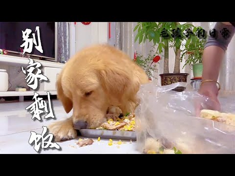 【毛孩子的日常】毛孩兒：別人家的剩飯就是香 #萌宠#可爱 #可爱到爆炸 #狗子#干饭 #干饭狗的日常 #干饭王 #funny #搞笑