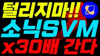 [소닉SVM 코인] 단기 30배🚨 긴급 충격 🚨폭등 온다!!!  세력 매집 끝, 매도 가격 공개!!