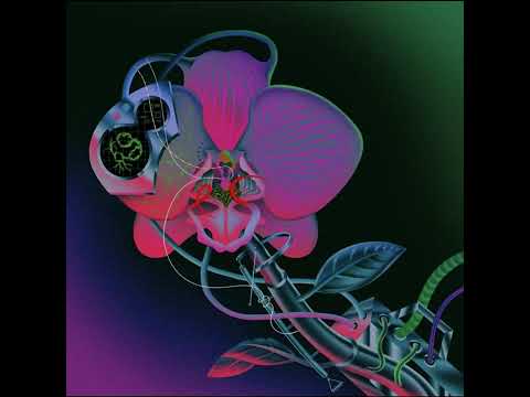 Cocteau Twins - Cherry-coloured Funk (lyrics)