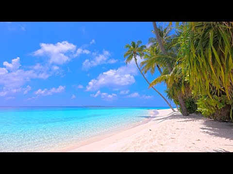 Ocean 4K UHD 🏝 Relax on a Luxury Island in Maldives